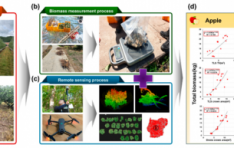 ���δ��б� �긲ȯ��о� ���п���, ��а� ���� ���̴� Ȱ���� ���� ���̿��Ž� ����ȭ ���� ���������м��� ����