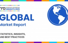 Incentive and Recognition Insight on a Global Scale