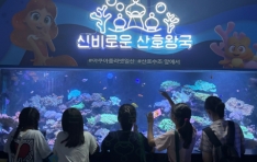 빮ûҳ⼾, ûҳ ķ αٵα, Summer ǡ 