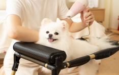 ٸ  ̵ ϰ ľ䡦    ̿ⱸ ׷롯 