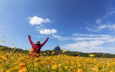 �¿쿩���X���ȱ�, ���Ȱ������� ���� Ʈ��ŷ ���� ����