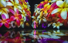 ���̸̹�, K.P. ��Ʈ���Ϳ� �±� ��Ÿ�߿� �̵���Ʈ �����̽� ����