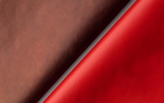 Qorium Secures 22m Investment to Accelerate Cultivated Leather Commercialisation