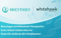 Biocytogen and Whitehawk Therapeutics Enter Global Collaboration for Bispecific Antibody ADC Development