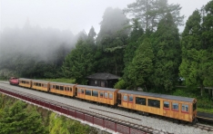 Taiwans Scenic Alishan Forest Railway Resumes Service After 15-Year Hiatus